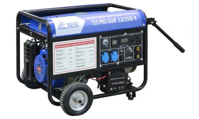 Бензиновый сварочный генератор TSS PRO GGW 3.0/250E-R - фото 2