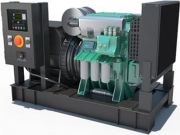 Дизельный генератор  WattStream WS33-CL с АВР
