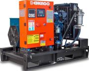 Дизельный генератор  Energo J315