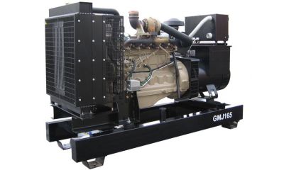 Дизельный генератор GMGen GMJ165 - фото 2