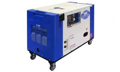 Дизельный сварочный генератор в кожухе TSS DGW-300ES - фото 2